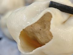 鲜肉小笼-大龙汤包