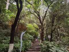 -云龙山