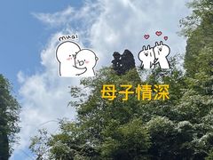 -恩施大峡谷