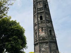 -上海佘山国家森林公园天马山园