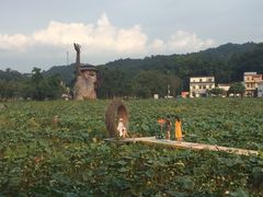 -红山村