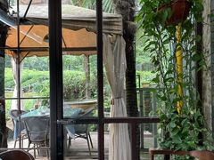 -野蔓果·山野菜(西湖景区·龙井茶田店)