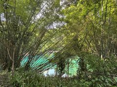-鼎湖山风景区