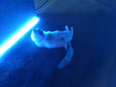 -零纪元VR体验馆·桌游(黄浦店)