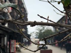 -张家港凤凰山景区恬庄古街