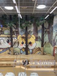 -小象动悟公园(龙湖亦庄天街店)