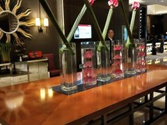 -上海西藏大厦万怡酒店