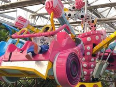 -南宫五洲植物乐园