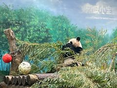 -杭州动物园