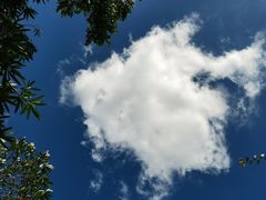 -上海吴淞炮台湾国家湿地公园