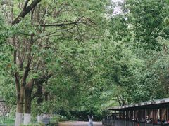 -凤凰沟景区
