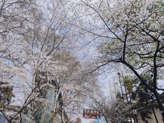 -鸡鸣寺