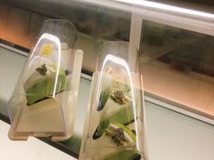 -禾康家蛋糕店