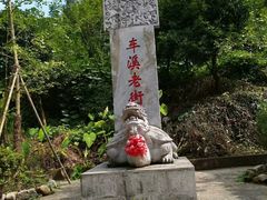 景点-车溪民俗旅游区
