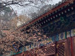 -香山公园