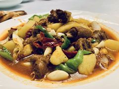 -新疆兵团食府清真(马连道店)