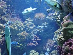 -海合安青岛极地海洋公园