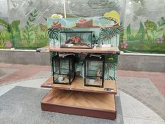 -南宫五洲植物乐园