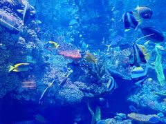 -海合安青岛极地海洋公园