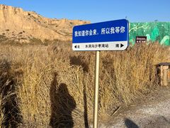-水洞沟旅游区