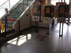 -麦当劳(朝阳路得来速店)