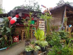 -Jungle Kitchen