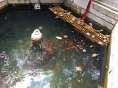 -潭柘寺景区