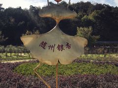 -千年银杏谷文化旅游区