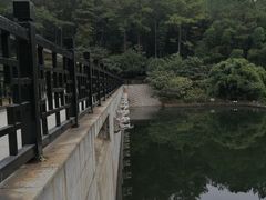 -九龙潭景区