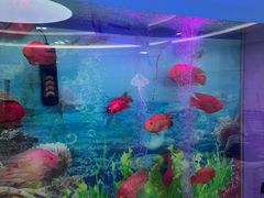 -雅悦齿科(顾村公园店)