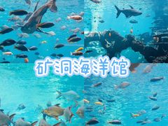 -长鹿旅游休博园