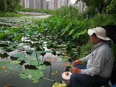 -新江湾城公园