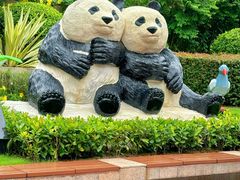-石排湾郊野公园