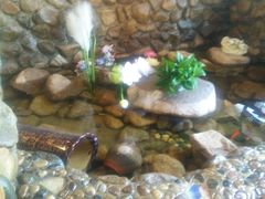 -一桶江山餐厅(松北店)