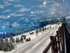 -世界之窗阿尔卑斯冰雪世界
