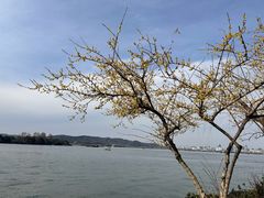 -浙江西子宾馆·牡丹厅