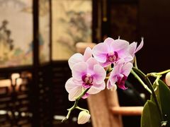 -明阁 Ming Court(广州朗豪酒店)