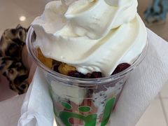 -Salud撒露欧洲冻酸奶(蓝色港湾店)
