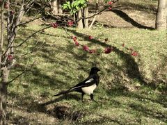 -青城公园