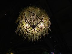 -胡桃里音乐酒馆(白云五号T5 MALL店)