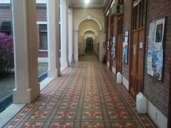 -香港大学