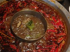 -李掌柜鲜菜火锅(移民广场店)