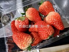 -红星农博物流中心