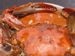 -连鹭海鲜·海肠捞饭·海胆饭(星海店)