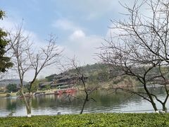 -重庆园博园
