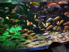 -太平洋海底世界