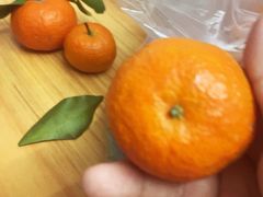 -百果园PAGODA(应元路店)