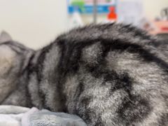 -美联众合24小时·皮肤科·外科·全科诊疗中心(华苑分院)