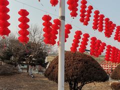 -石家庄市植物园
