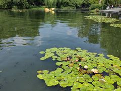 -西湖天地